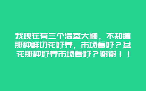 我现在有三个温室大棚，不知道那种鲜切花好养，市场看好？盆花那种好养市场看好？谢谢！！