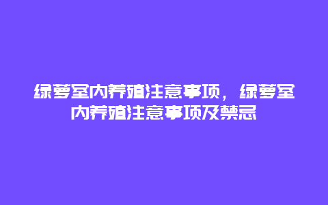 绿萝室内养殖注意事项，绿萝室内养殖注意事项及禁忌