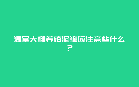 温室大棚养殖泥鳅应注意些什么？