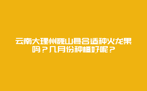 云南大理州巍山县合适种火龙果吗？几月份种植好呢？