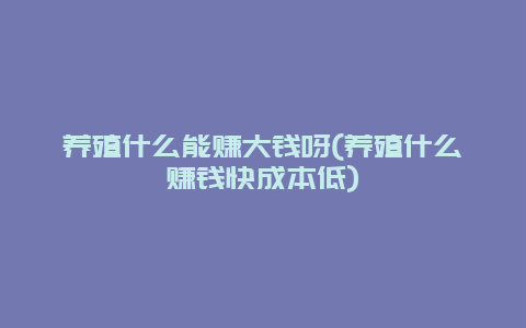 养殖什么能赚大钱呀(养殖什么赚钱快成本低)