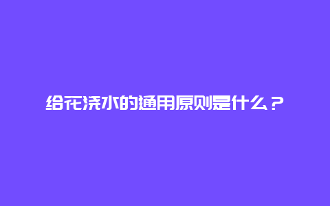 给花浇水的通用原则是什么？