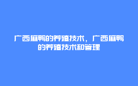 广西麻鸭的养殖技术，广西麻鸭的养殖技术和管理