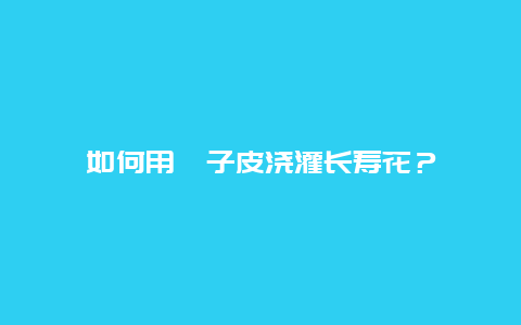 如何用桔子皮浇灌长寿花？