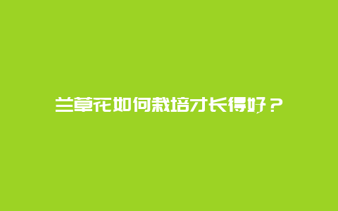 兰草花如何栽培才长得好？