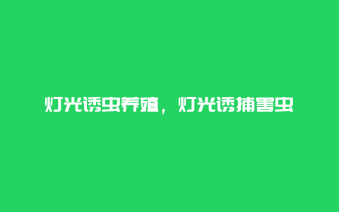 灯光诱虫养殖，灯光诱捕害虫