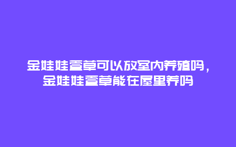 金娃娃萱草可以放室内养殖吗，金娃娃萱草能在屋里养吗