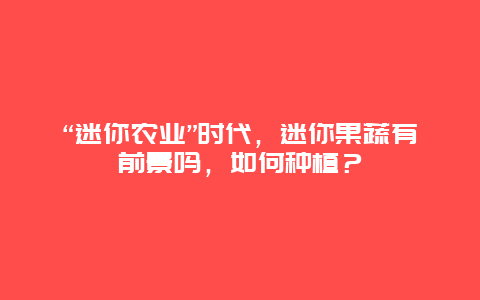 “迷你农业”时代，迷你果蔬有前景吗，如何种植？