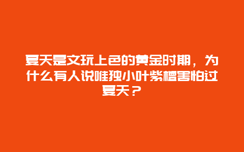 夏天是文玩上色的黄金时期，为什么有人说唯独小叶紫檀害怕过夏天？