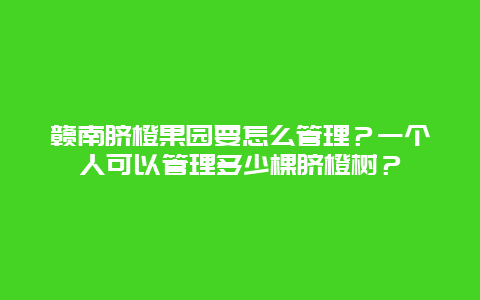 赣南脐橙果园要怎么管理？一个人可以管理多少棵脐橙树？