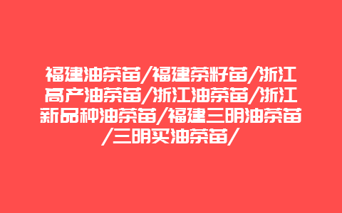 福建油茶苗/福建茶籽苗/浙江高产油茶苗/浙江油茶苗/浙江新品种油茶苗/福建三明油茶苗/三明买油茶苗/