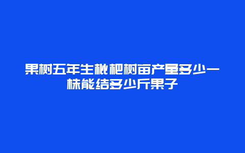 果树五年生枇杷树亩产量多少一株能结多少斤果子