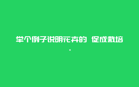 举个例子说明花卉的 促成栽培。