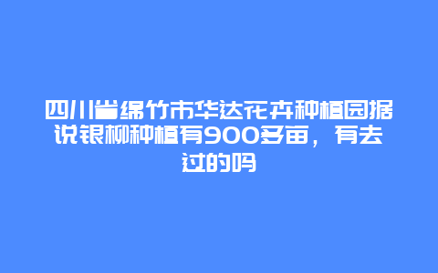 四川省绵竹市华达花卉种植园据说银柳种植有900多亩，有去过的吗