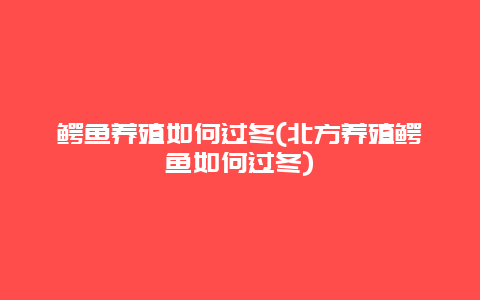 鳄鱼养殖如何过冬(北方养殖鳄鱼如何过冬)