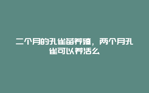 二个月的孔雀苗养殖，两个月孔雀可以养活么