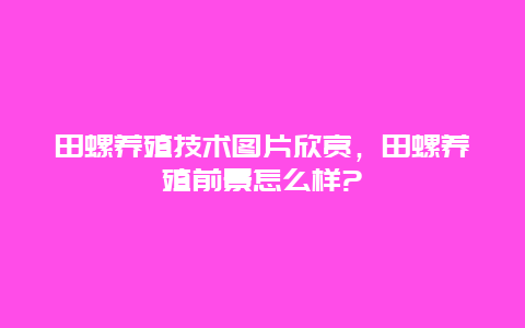 田螺养殖技术图片欣赏，田螺养殖前景怎么样?