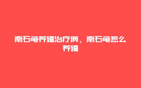 南石龟养殖治疗病，南石龟怎么养殖