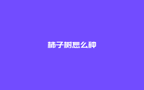 柿子树怎么种