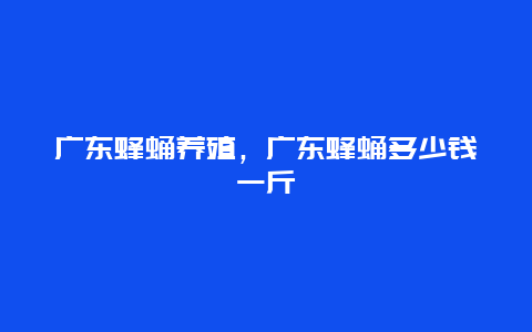 广东蜂蛹养殖，广东蜂蛹多少钱一斤