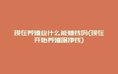 现在养殖业什么能赚钱吗(现在开始养殖啥挣钱)