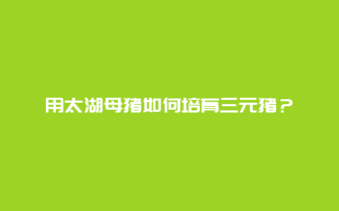 用太湖母猪如何培育三元猪？