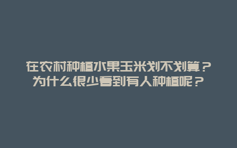 在农村种植水果玉米划不划算？为什么很少看到有人种植呢？