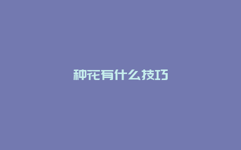 种花有什么技巧