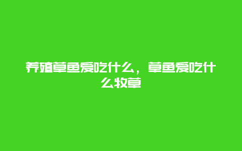 养殖草鱼爱吃什么，草鱼爱吃什么牧草