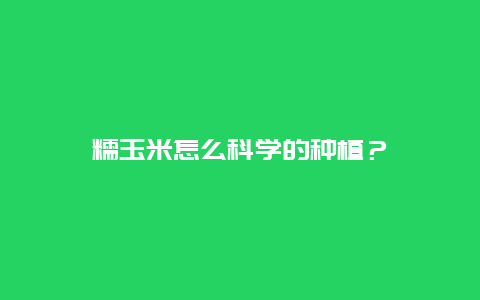 糯玉米怎么科学的种植？