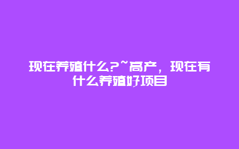 现在养殖什么?~高产，现在有什么养殖好项目