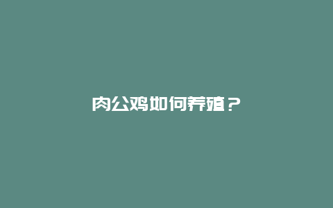 肉公鸡如何养殖？