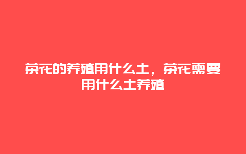 茶花的养殖用什么土，茶花需要用什么土养殖