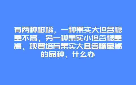 有两种柑橘，一种果实大但含糖量不高，另一种果实小但含糖量高，现要培育果实大且含糖量高的品种，什么办