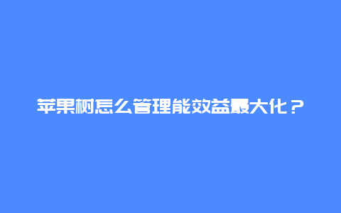 苹果树怎么管理能效益最大化？