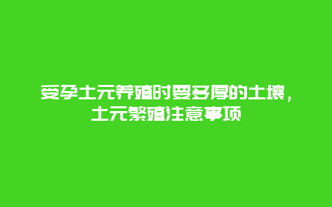 受孕土元养殖时要多厚的土壤，土元繁殖注意事项