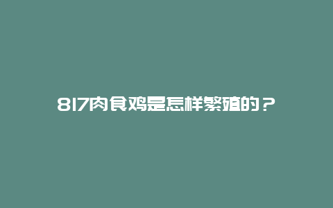 817肉食鸡是怎样繁殖的？