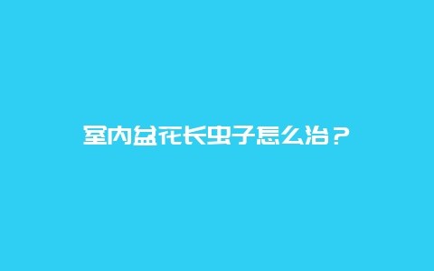 室内盆花长虫子怎么治？