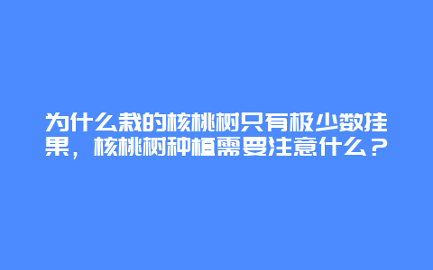 为什么栽的核桃树只有极少数挂果，核桃树种植需要注意什么？