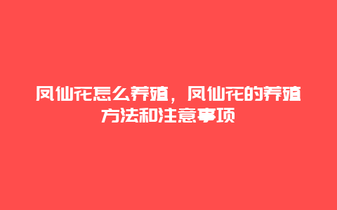 凤仙花怎么养殖，凤仙花的养殖方法和注意事项