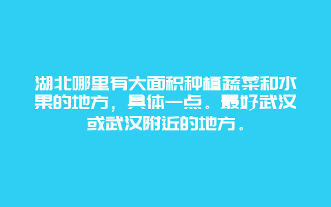 湖北哪里有大面积种植蔬菜和水果的地方，具体一点。最好武汉或武汉附近的地方。