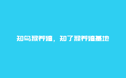 知鸟猴养殖，知了猴养殖基地