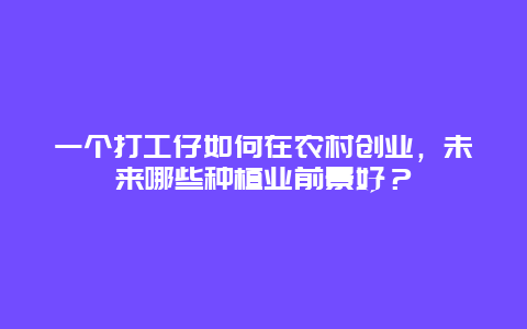 一个打工仔如何在农村创业，未来哪些种植业前景好？