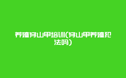 养殖穿山甲培训(穿山甲养殖犯法吗)