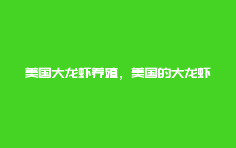 美国大龙虾养殖，美国的大龙虾