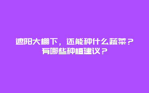 遮阳大棚下，还能种什么蔬菜？有哪些种植建议？