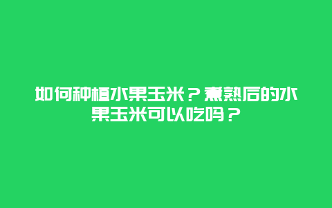 如何种植水果玉米？煮熟后的水果玉米可以吃吗？