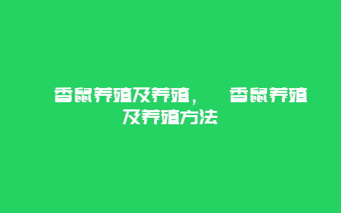 麝香鼠养殖及养殖，麝香鼠养殖及养殖方法