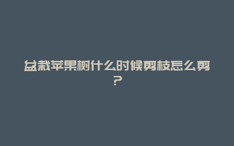 盆栽苹果树什么时候剪枝怎么剪？