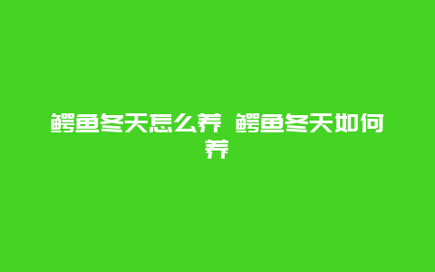 鳄鱼冬天怎么养 鳄鱼冬天如何养